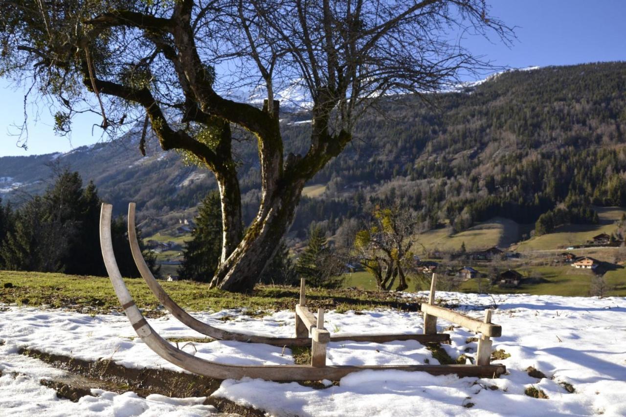 Les Picaillons - Le Chalet Les Villards-sur-Thônes Esterno foto